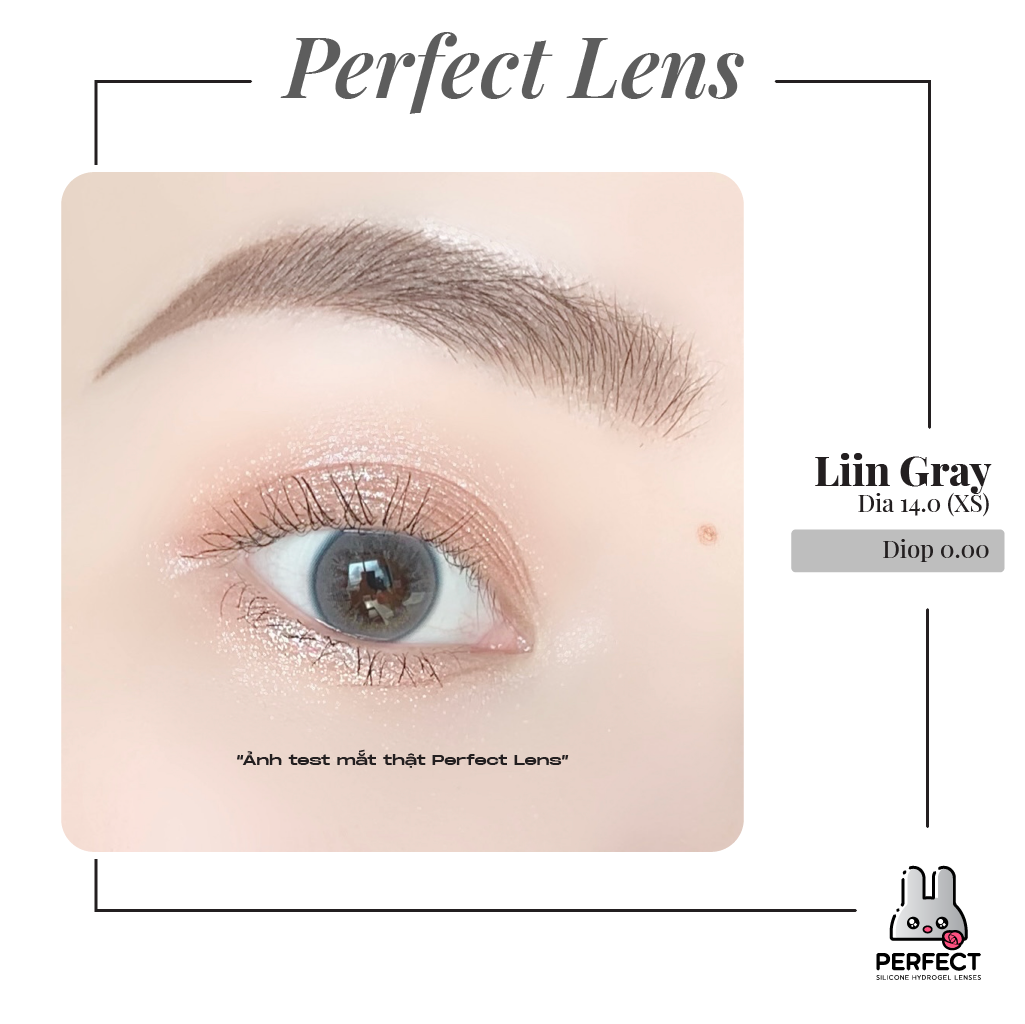 Liin Gray Lens (Giá 1 Chiếc)