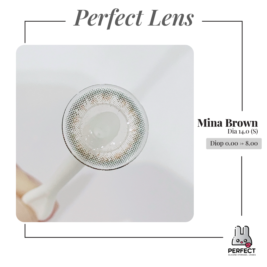 Mina Brown Lens (Giá 1 Chiếc)