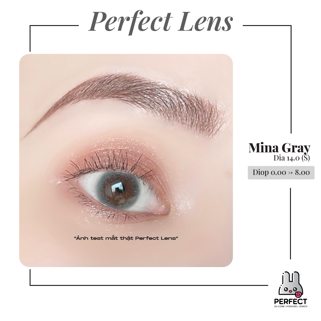 Mina Gray Lens (Giá 1 Chiếc)