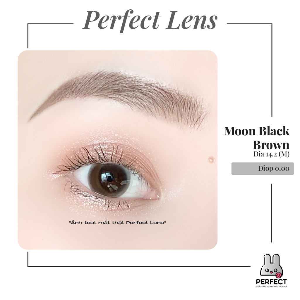 Moon Black Brown Lens (Giá 1 Chiếc)