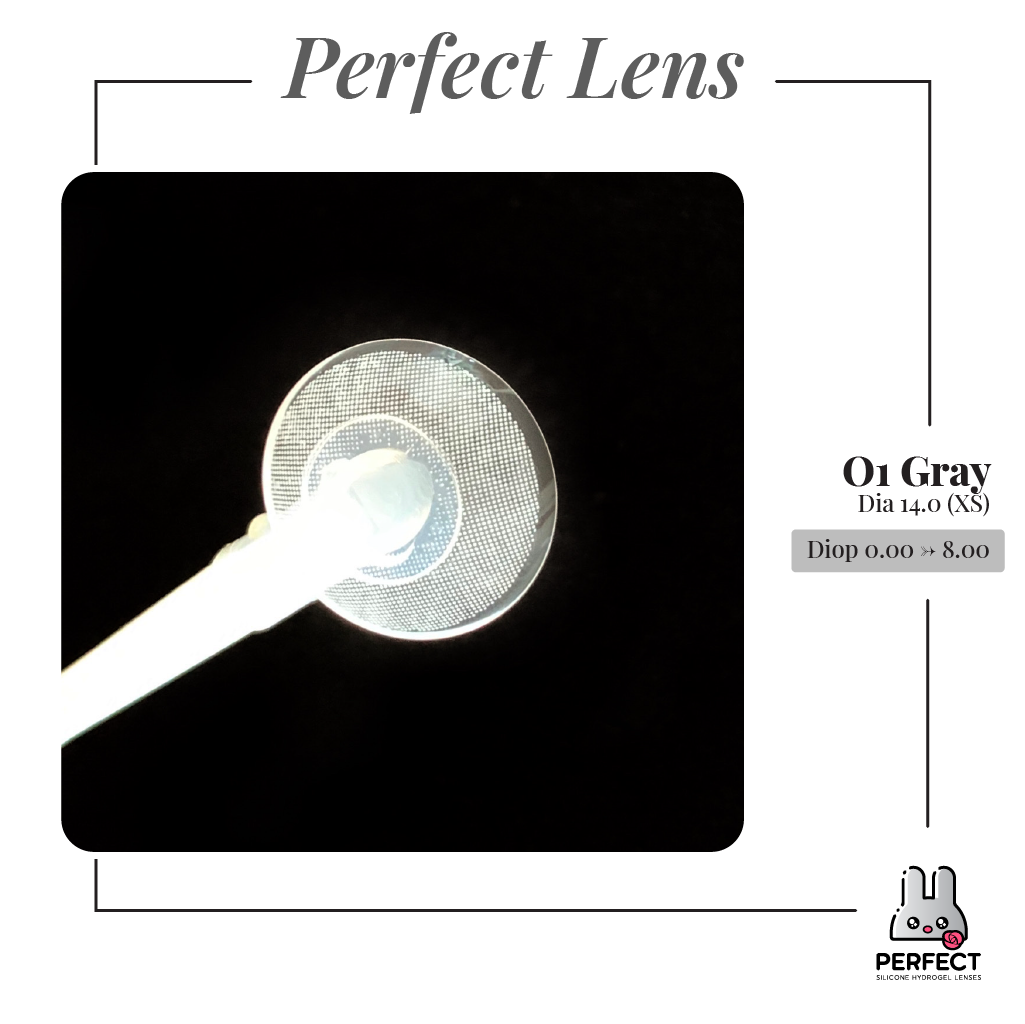 O1 Gray Lens (Giá 1 Chiếc)
