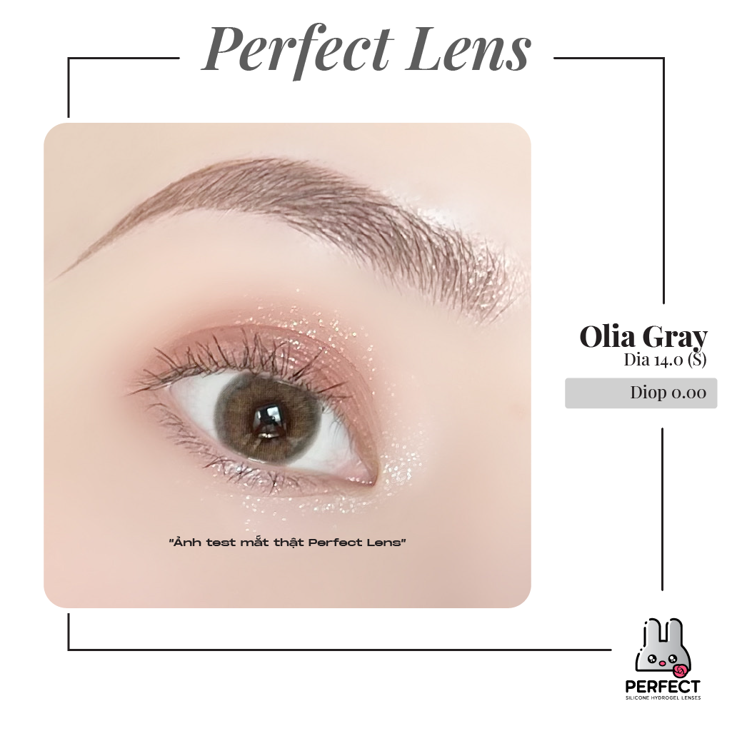 Olia Gray Lens (Giá 1 Chiếc)