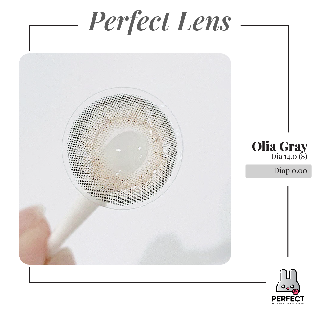 Olia Gray Lens (Giá 1 Chiếc)